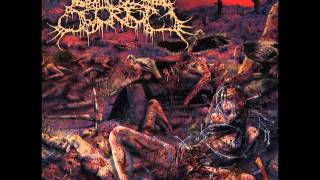 Guttural SecreteReek of Pubescent Despoilment full album [upl. by Mead948]