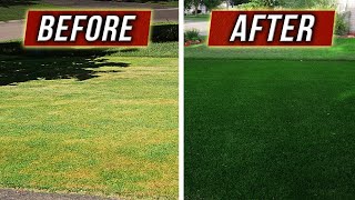 Overseed the DARKEST Ryegrass in the WORLD [upl. by Furtek]