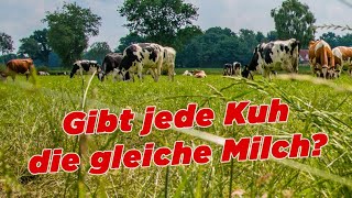 Gibt jede Kuhe die gleiche Milch  My KuhTube Film 204 [upl. by Ycrep]