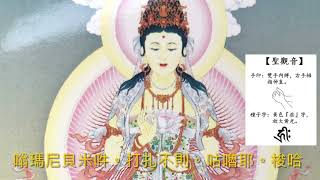 「聖觀音」心咒 Arya Avalokitesvara Noble Guanyin mantra 聖觀音第一富豪法 [upl. by Nnaeoj919]