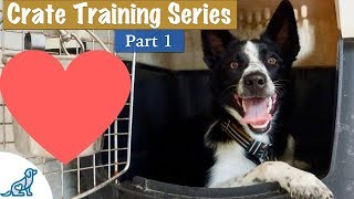 Crate Training Your Puppy DOESNT Have To Be Stressful [upl. by Corel]