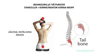 GRUNDBEHANDLING Dr Cochrans 2punktsbehandling Aktivera STAMCELLER amp LÄKNING för HELA KROPPEN [upl. by Dasi]