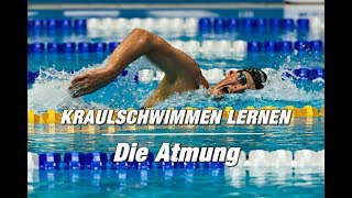 Kraulschwimmen lernen  die Atmung 2er oder 3er  SWIMAZING UNIVERSITY [upl. by Irrehs123]