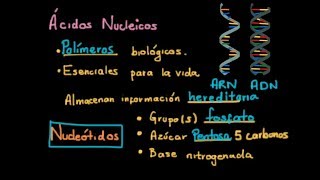 Ácidos Nucleicos Nucleótidos y Nucleósidos [upl. by Ateuqal]