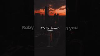 Baby I’m preying on you tonight animals animalssong lyrics shorts [upl. by Lovell410]