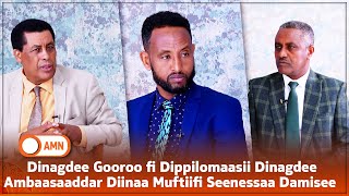 Dinagdee Gooroo fi Dippilomaasii Dinagdee Ambaasaaddar Diinaa Muftiifi Seenessaa Damisee [upl. by Corron]