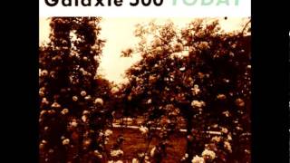 Galaxie 500  Flowers lyrics [upl. by Nodgnal]