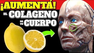 ¡IMPACTANTE Estos ALIMENTOS ACTIVAN el COLAGENO NATURAL de Tu CUERPO [upl. by Summer726]