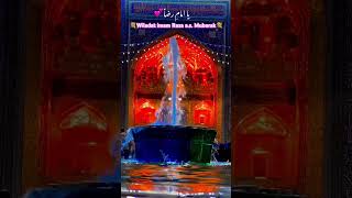 💕YA IMAMERAZA as💕imamraza imamrezaasimamrezaaz imamrezaholyshrineshiastatusshiaytshorts [upl. by Trisa]