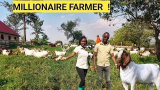 How He STARTED A Simple GOAT Farm Business On ONE Acre  Costs Market Housing Training [upl. by Drannel]