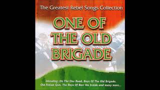 The Greatest Irish Rebel Songs Collection  Full Album  12 Classic Irish Rebel Songs [upl. by Zeuqirdor]