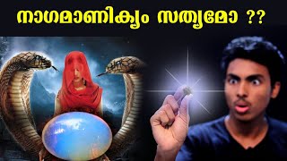 നാഗമാണിക്യം എന്ന അത്ഭുത കല്ല് l NAGAMANIKYAM EXPLAINED l MALAYALAM l AFWORLD [upl. by Dowski]