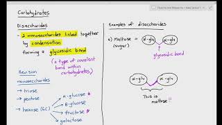 24 Disaccharides  Maltose amp Sucrose Cambridge International AS amp A Level Biology [upl. by Derrej866]