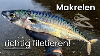 MAKRELEN richtig filetieren und zubereiten  Catch amp Cook [upl. by Janela]