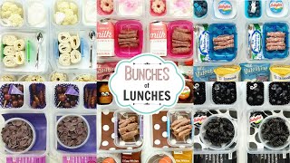 Colorful School Lunch Ideas for KIDSWhat They Ate  K 1st grade 2nd Grade  BUNCHES of LUNCHES [upl. by Kiraa]