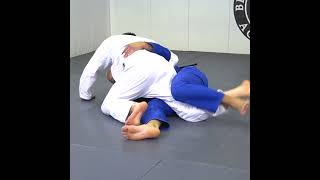 Bottom Half Guard Opponent Whizzers by Marcos Tinoco [upl. by Yaras639]