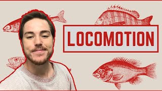 Ichthyology Lesson 5  Fish Locomotion [upl. by Adnilym942]