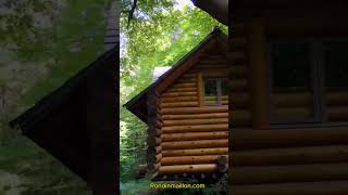 ❤️ Petite Maison en Rondin de Bois  Un Écrin de Nature à Découvrir [upl. by Eggleston]