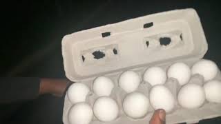 Egging cars prank [upl. by Essyla]