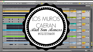 Los Muros Caeran Miel San Marcos Multitrack [upl. by Suired]