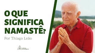 O que significa Namastê  Thiago Leão  Instituto Hermógenes  Parte 1 [upl. by Oiuqise]