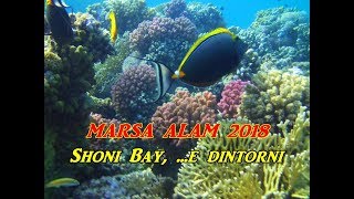 Marsa Alam 2018  Shoni Bay Resort e dintorni HD [upl. by Nednal]