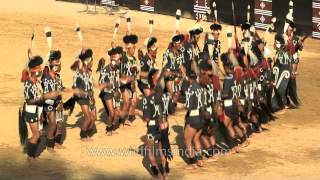 Folk dance of Chang Naga tribe [upl. by Akihsat]