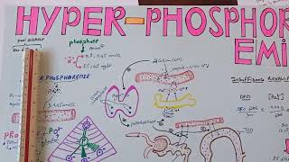 TOUS SAVOIRE SUR LHYPERPHOSPHOREMIE1 Définition Normes  pool globale répartition physiologique [upl. by Eicnarf828]