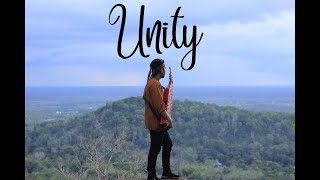 Alan Walker  Unity  Slow Remix Sape Dayak [upl. by Nnaylloh7]