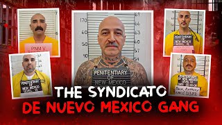 The Downfall of the Syndicato De Nuevo Mexico Gang [upl. by Awad]