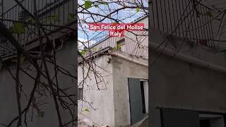 Property for sale in San Felice del Molise Campobasso Italy  Real Estate Agency  Virtual Tour [upl. by Dlorah400]