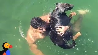 Firefighter Saves Drowning Dog Reunites Him With Family  The Dodo [upl. by Idonah]