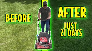 Fix Your Lawn in Just 21 Days [upl. by Sibel577]