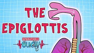 Operation Ouch  The Epiglottis  Science for Kids [upl. by Stafford]