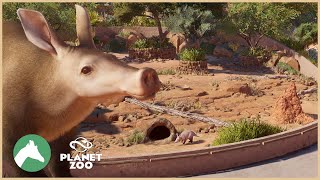 Aardvark Habitat  Desert Adventure Park  Planet Zoo [upl. by Alael574]