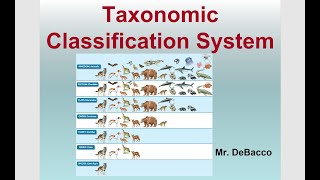 Taxonomic Classification [upl. by Smaoht174]