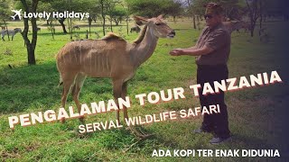 SERVAL WILDLIFE TANZANIA BANYAK HEWAN LIAR DAN ADA KOPI TERENAK SEDUNIA HOMESTAY HARGA USD 1000 [upl. by Pauwles851]