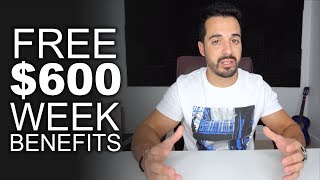 How To Apply for the FREE 600 Weekly  Unemployment Benefit [upl. by Nolrah]