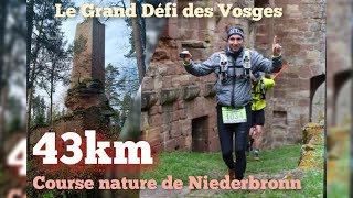 Courses nature de NIEDERBRONN  Le Grand defi des Vosges 43km1500md [upl. by Irot571]