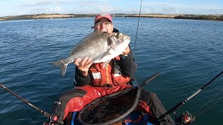 GILTHEAD BREAM FISHING  FISH OF A LIFETIME [upl. by Heymann959]