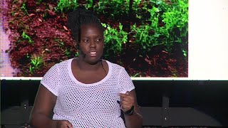 GMO Farming in Kenya  Tasha Wasonga  TEDxYouthBrookhouseSchool [upl. by Atekahs]