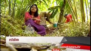 Cardamom Plantations of Idukki  Money Time 22 Jul 2017 [upl. by Yesoj637]