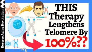 THIS Therapy Lengthens Telomere By 100  Reported By A 83 Year Old Doctor [upl. by Willmert]