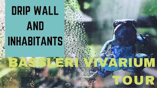 Bassleri Vivarium Tour  Drip wall and Inhabitants [upl. by Ahtnammas999]