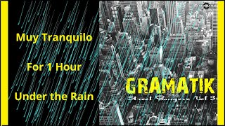 Gramatik  Muy Tranquilo Slowed amp Reverb Under the Rain 1 Hour Relax [upl. by Loralee819]