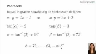 Meetkunde Hoek tussen lijnenkrommen  Wiskunjeleren [upl. by Idnic]