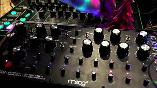 MONOPOWER DFAM TECHNO JAM WITH TR8 HELP [upl. by Deborah]