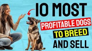 10 Most Profitable Dogs to Breed and Sell [upl. by Nede205]