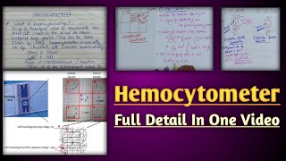 Hemocytometer  hemocytometer rbc count  calculation in neubaur chamber [upl. by Eecart]