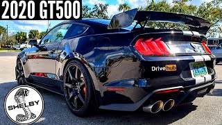 The 2020 Shelby GT500 Sounds AMAZING 2020 GT500 Startup amp Revs  DriveHub [upl. by Gaudet]